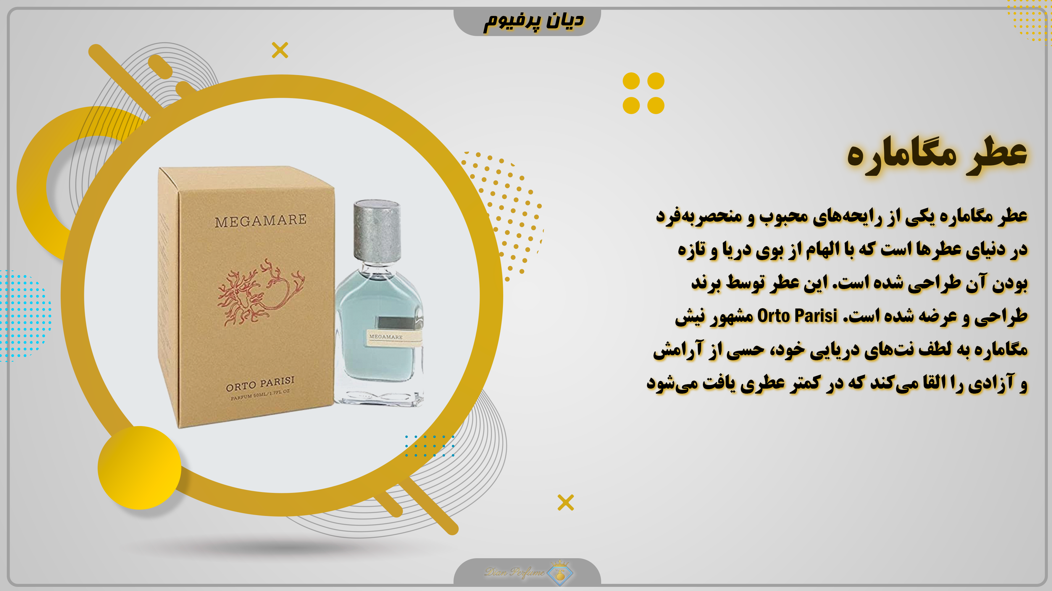 معرفی عطر مگاماره: حس طراوت در کنار دریا